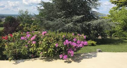 Propriété de caractÚre dans parc - Piscine - Vue panoramique