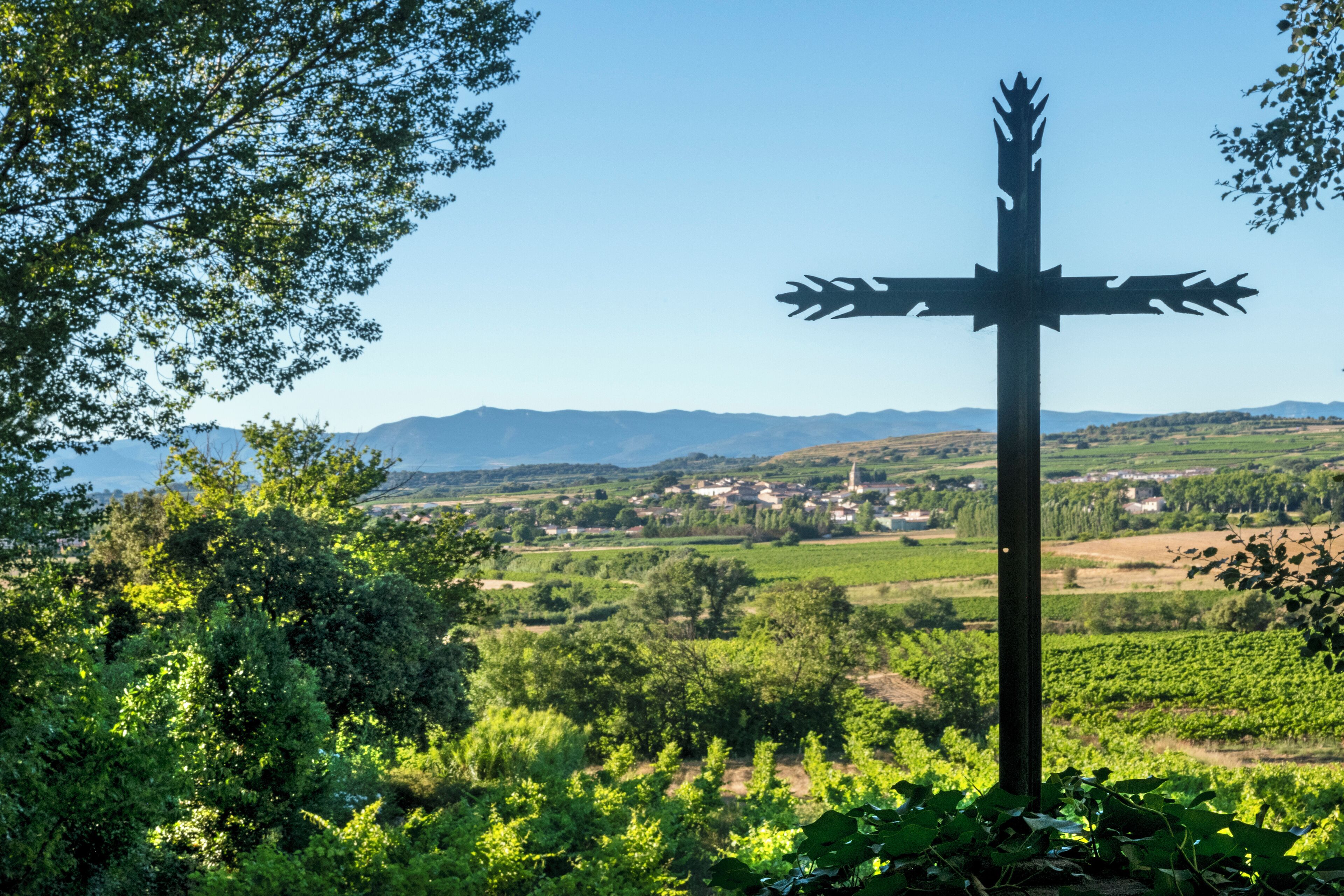 A cross-shaped monument in a vineyard with a town in the background.