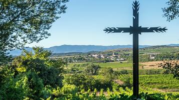 A cross-shaped monument in a vineyard with a town in the background.
