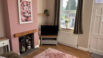 Télévision, cheminée, chaîne hi-fi