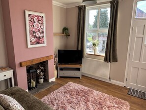 Télévision, cheminée, chaîne hi-fi