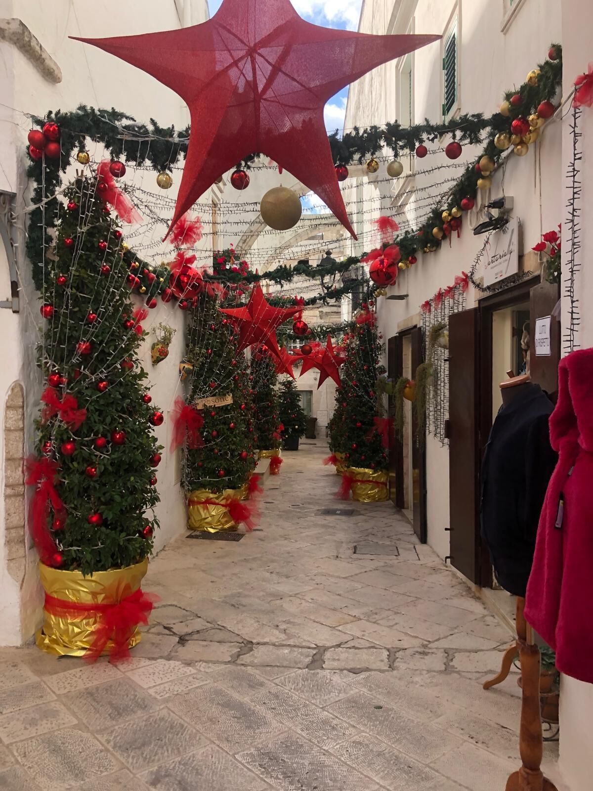 A narrow alley lined with Christmas trees and red star decorations.