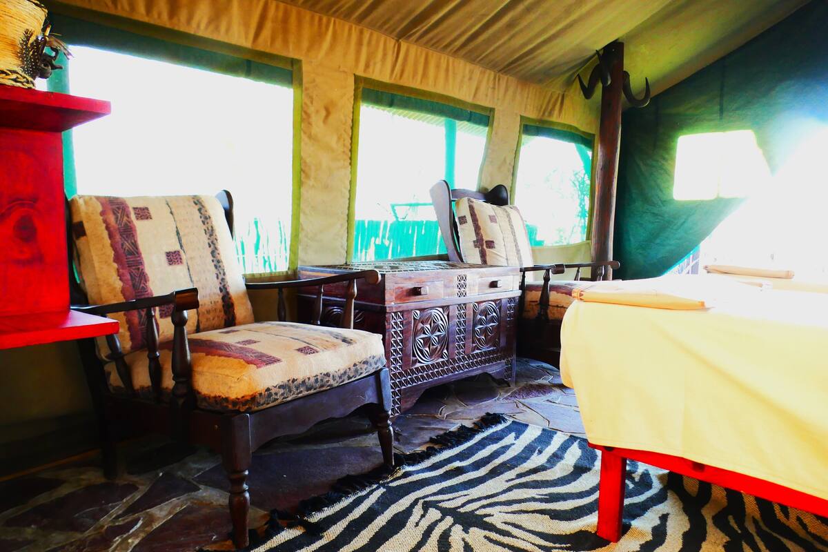 A room with a bed, two chairs, a wooden chest, and a zebra-patterned rug.