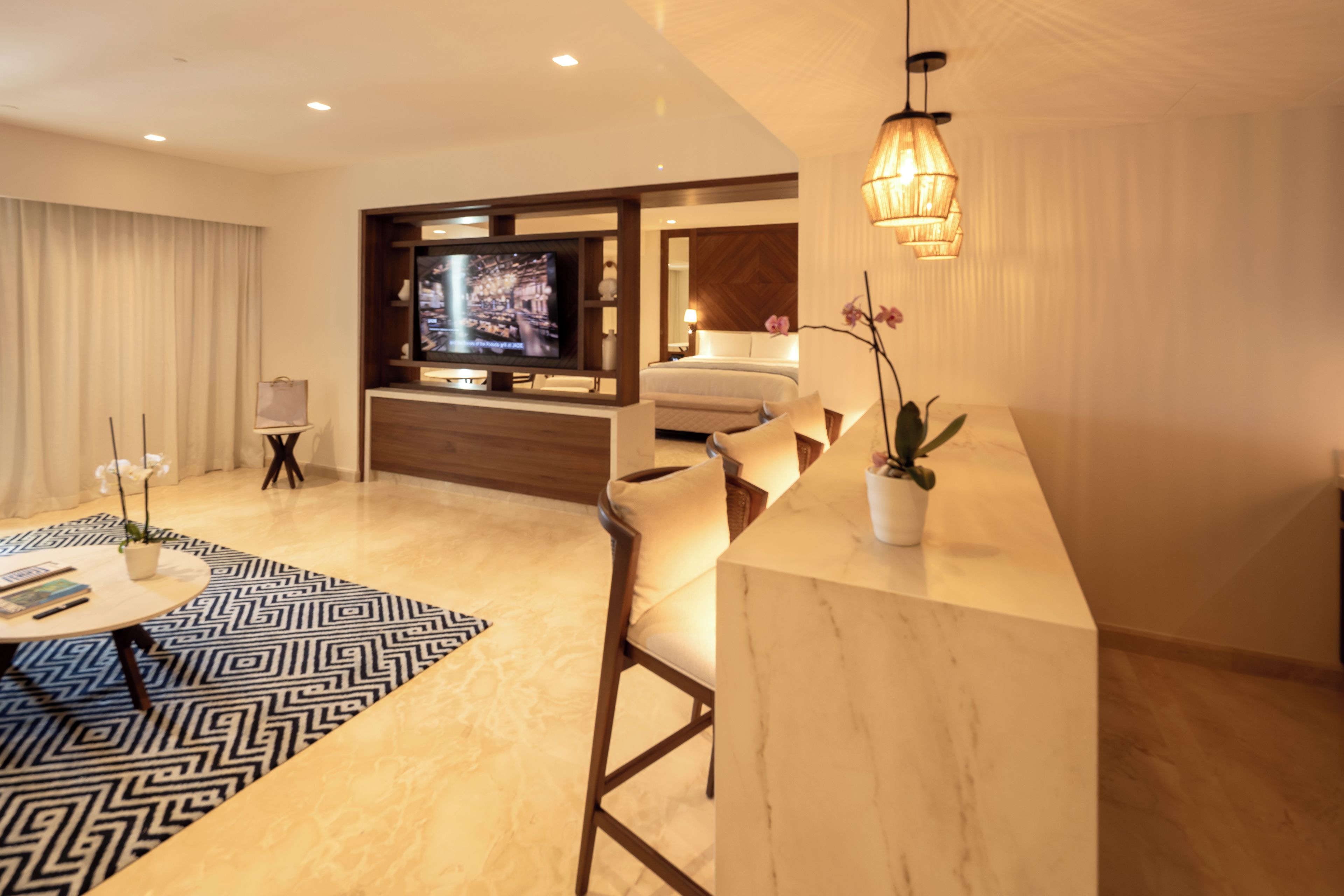 Un salon moderne avec un téléviseur à écran plat, un canapé, une table basse et une plante décorative.
