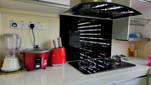 Full-sized fridge, microwave, oven, stovetop