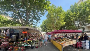 Un vivace mercato all'aperto con numerosi banchi che vendono fiori, frutta e altri prodotti.