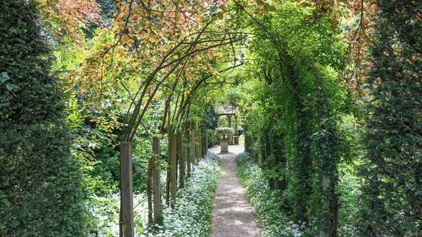 Un sendero de jardín bordeado de flores blancas y follaje verde, que lleva a una estructura de piedra a lo lejos.