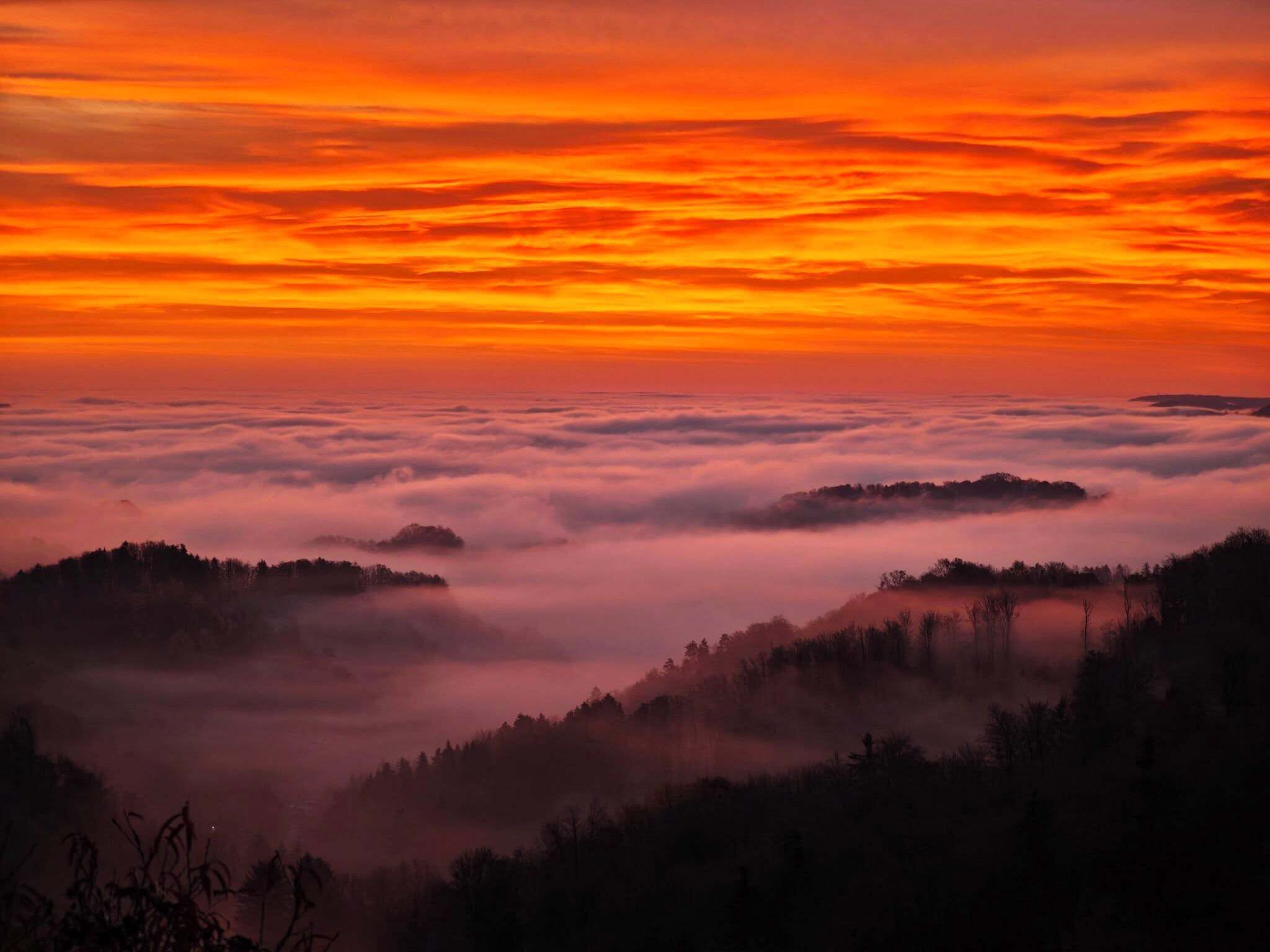 A landscape with a sunrise or sunset over a forested area with a view of the sky.