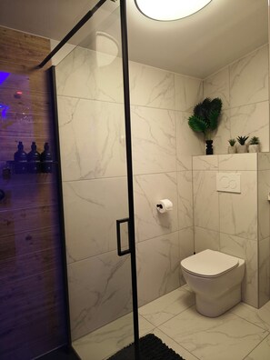 Secador de pelo, toallas, jabón y papel higiénico