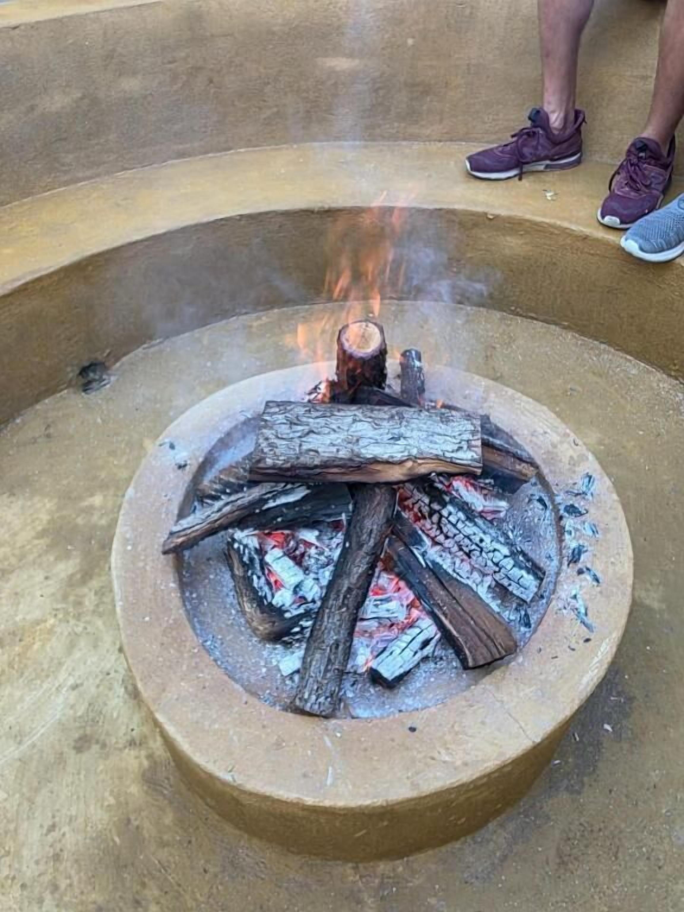 Photo - Green Elephant Backpackers