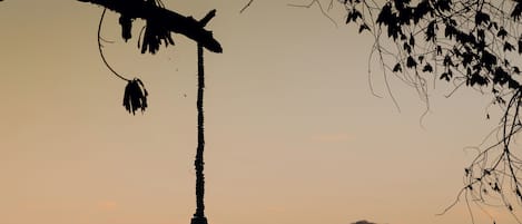 Un farol colgando de una rama de árbol sobre un cuerpo de agua, con una montaña distante al fondo.