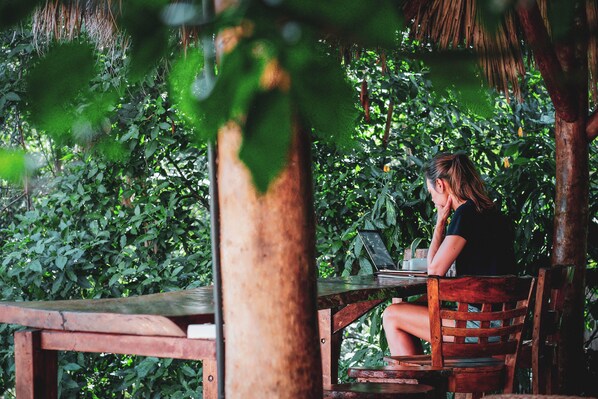 A person sitting at a wooden table with a laptop, surrounded by greenery.