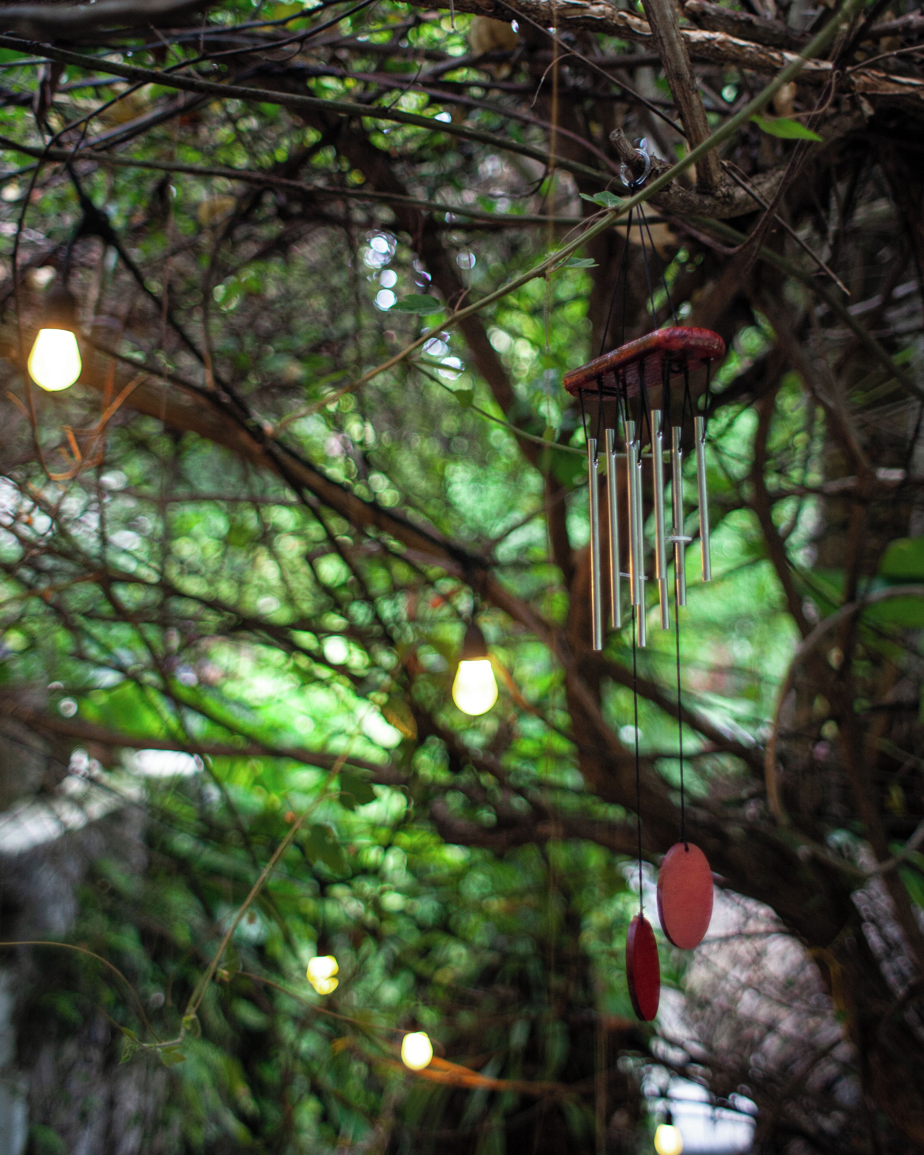 A wind chime hanging amidst dense foliage.