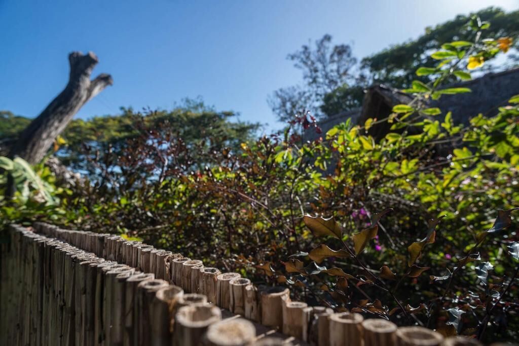 A wooden fence with vertical slats, surrounded by dense foliage and trees.