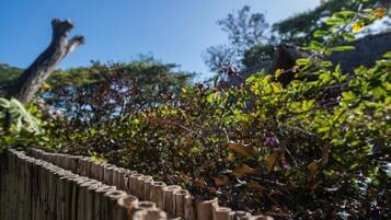 Une clôture en bois composée de lattes verticales, entourée d’un feuillage dense et d’arbres.