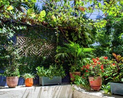 Family Quadruple Room | Free WiFi