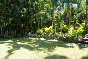 Garden view