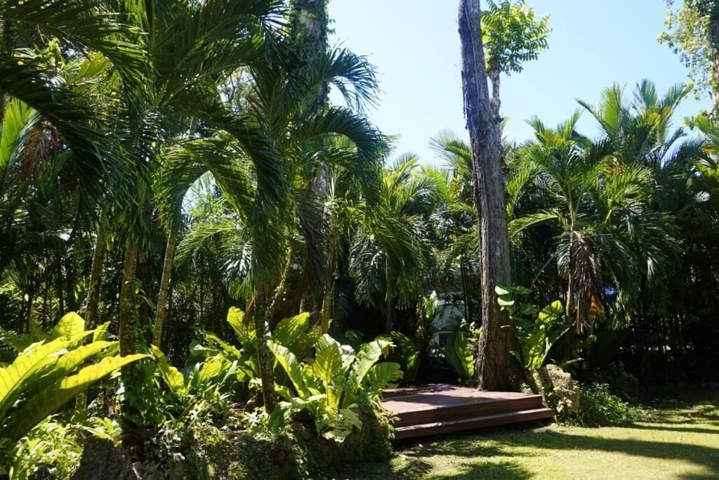 Blick auf den Garten