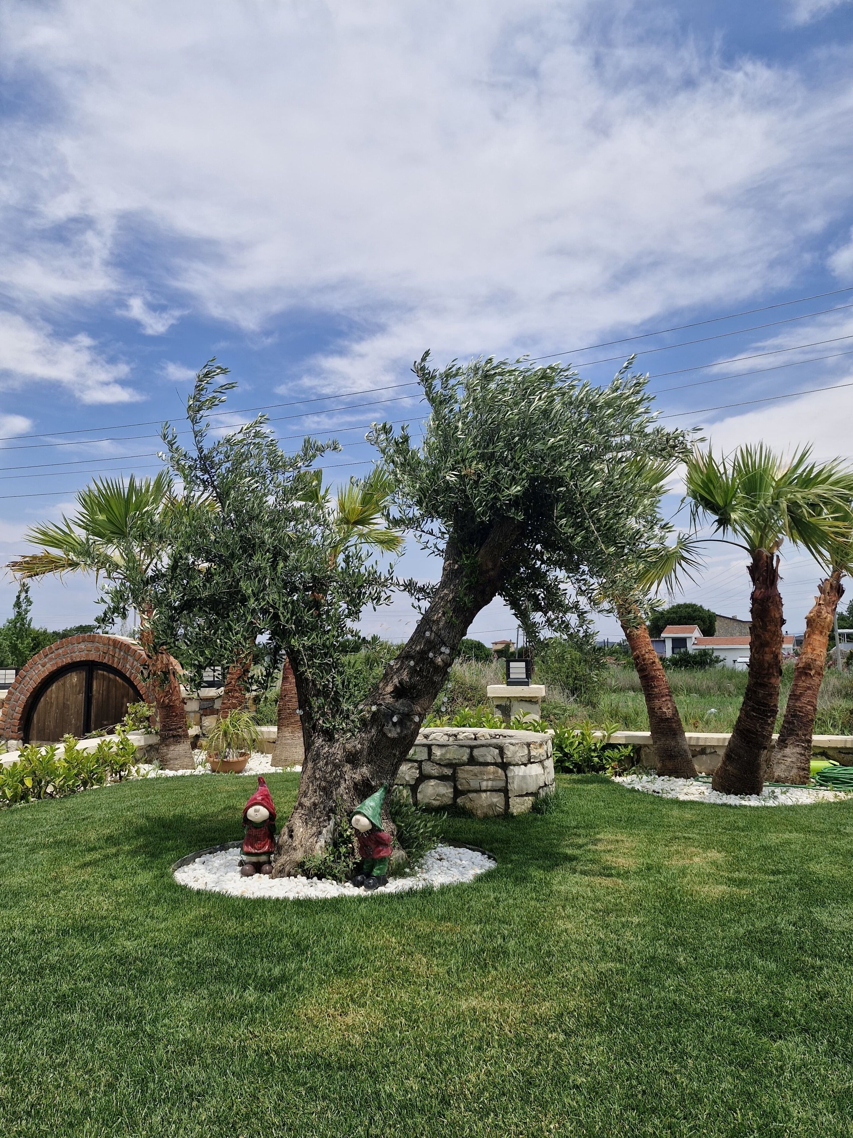 Un jardín ajardinado con diversos árboles, un hidrante y un muro de piedra.