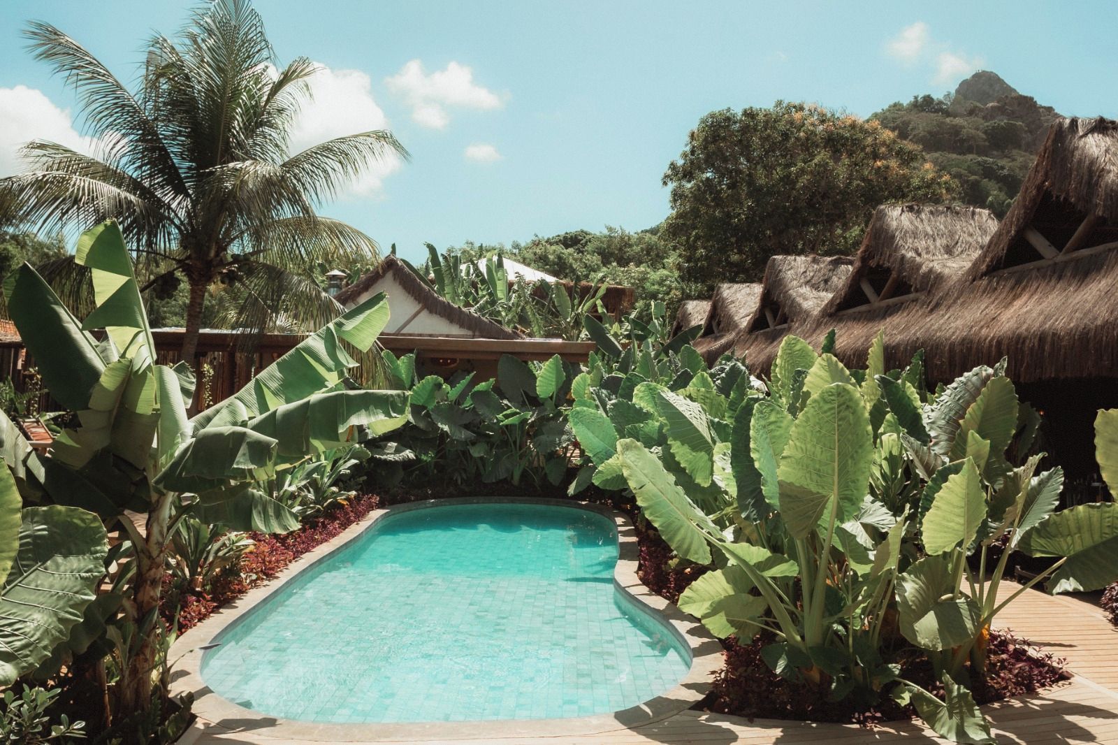 A swimming pool surrounded by tropical vegetation and a thatched-roof structure.