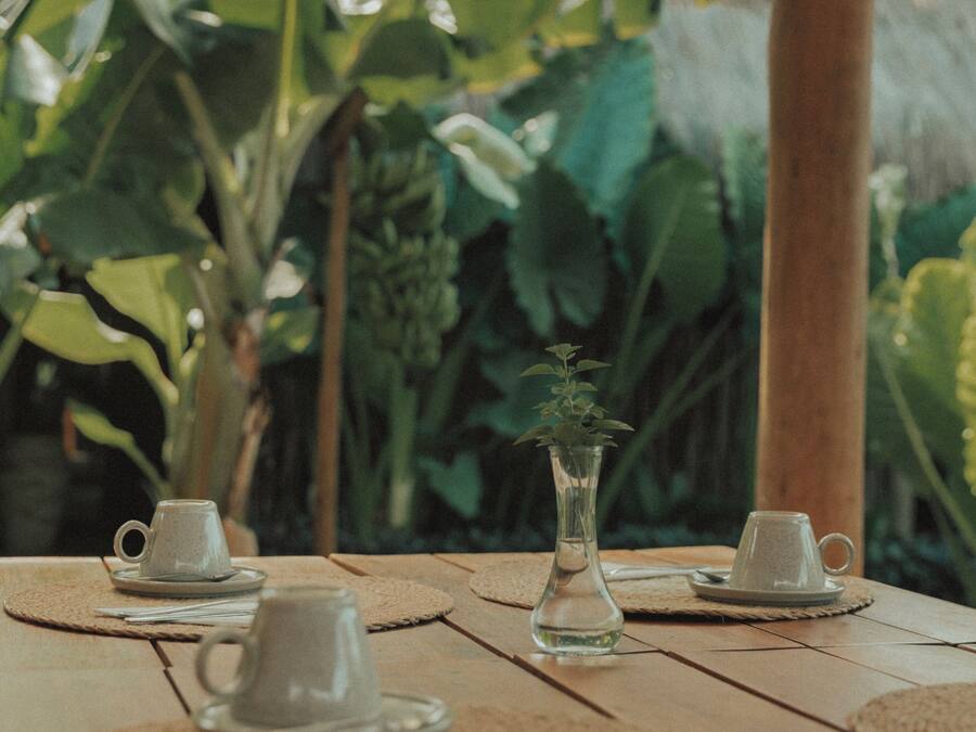 A table set with four white cups and saucers, a small vase with a plant, and a woven placemat.