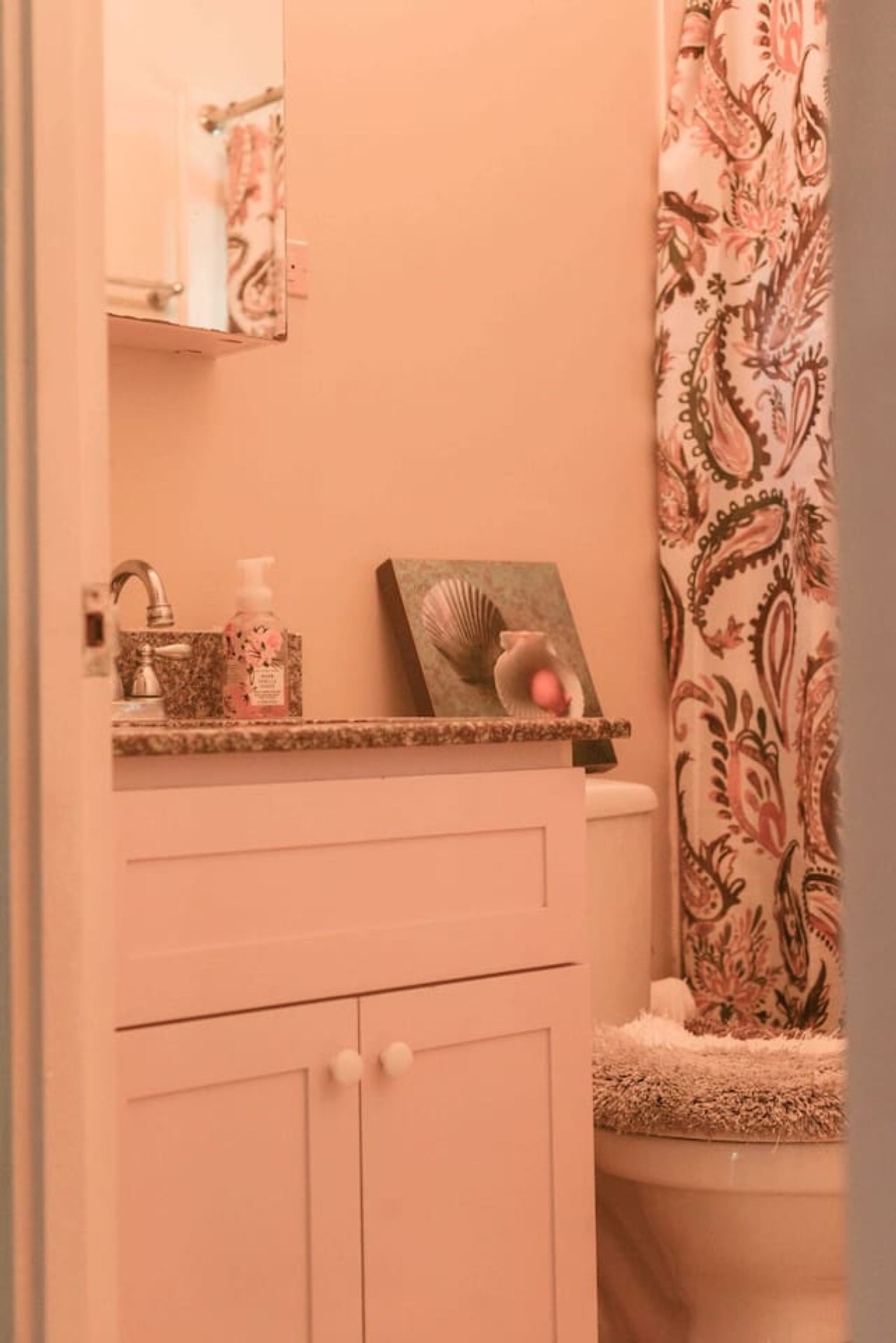 A bathroom with a vanity, a mirror, a towel rack, and a shower curtain.
