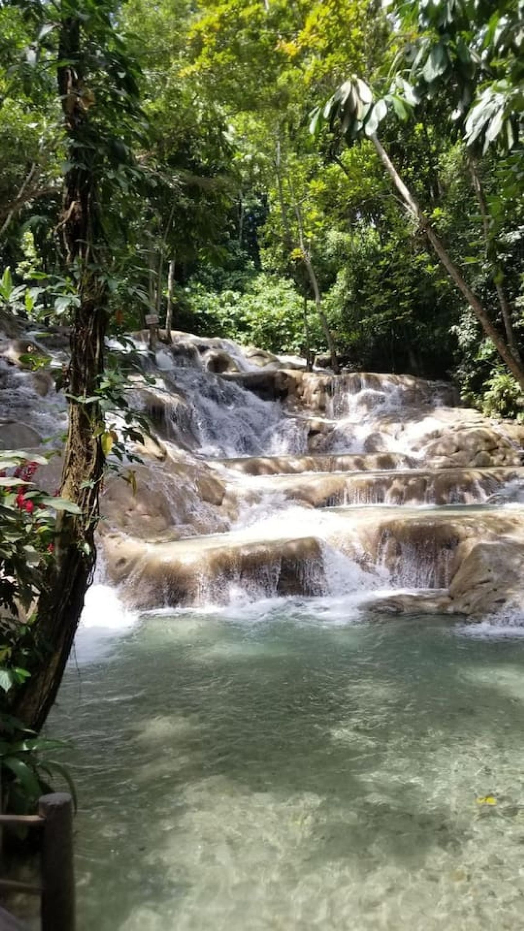 A waterfall cascading over a rocky ledge into a clear pool surrounded by dense greenery.