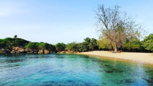 Una playa con agua azul cristalina, orilla arenosa y abundante vegetación.