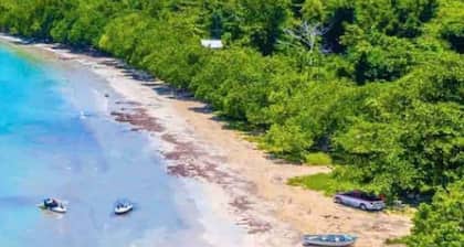Adorable 1BR Cottage Walk to the Beach Priory