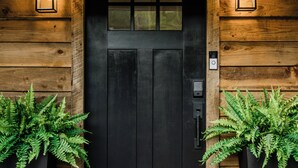 Une porte noire avec une petite fenêtre, deux fougères en pot et deux lampes fixées au mur.