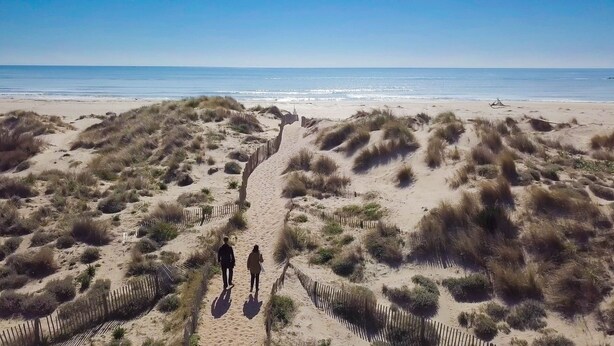 Une plage de sable avec une promenade en bois qui mène à la mer, entourée de dunes.