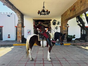 Una persona monta a caballo frente a un edificio con una araña, un perro y un árbol.