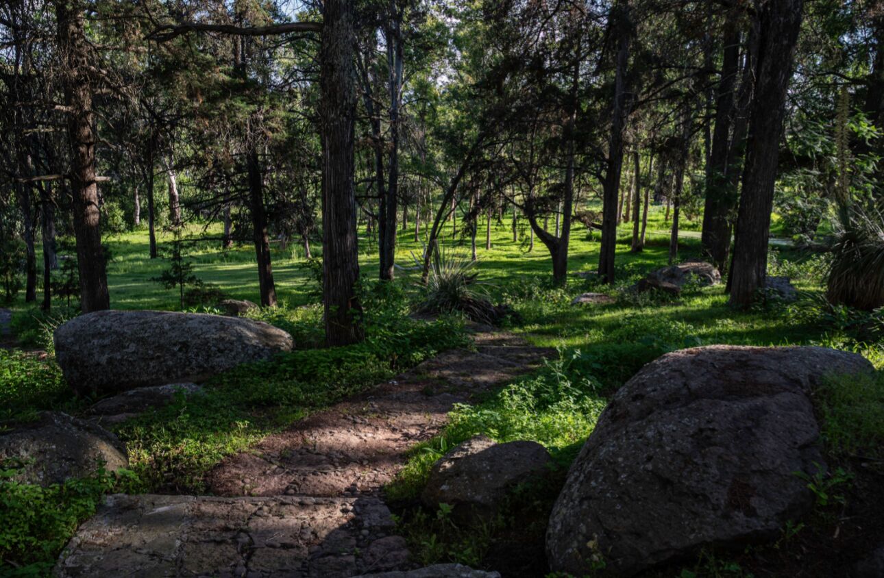 A forested area with a dirt path, large rocks, and dense trees.