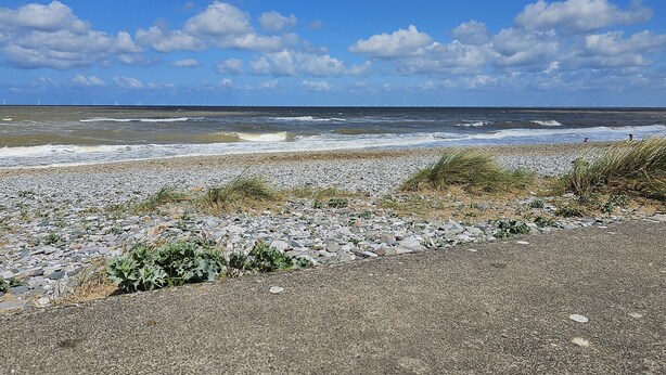 Une plage rocheuse avec des vagues, un ciel dégagé et des éoliennes visibles au loin.