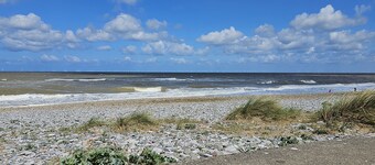 ซีฮอร์ส