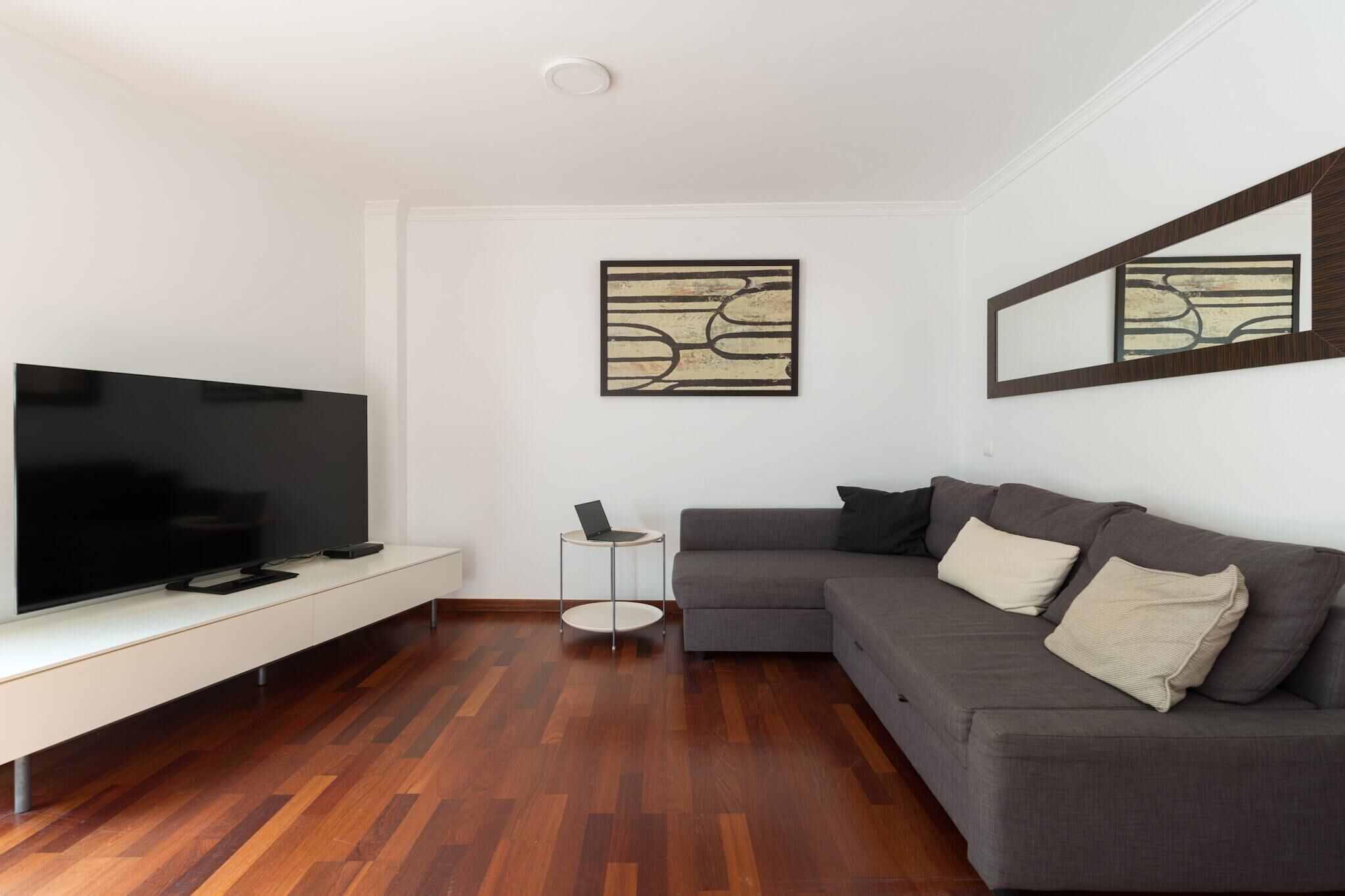 Smart-TV, Arbeitsbereiche