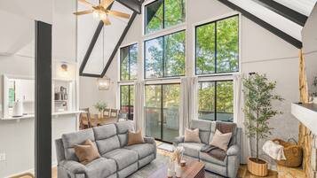 Smart TV, lareira, videogames, livros