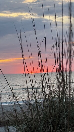 In Strandnähe, Strandtücher