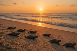 Una playa cerca, sillas reclinables de playa, toallas de playa