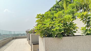 Rooftop terrace