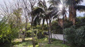 Een weelderige tuin met palmbomen en dichte beplanting.