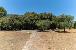 Jardin