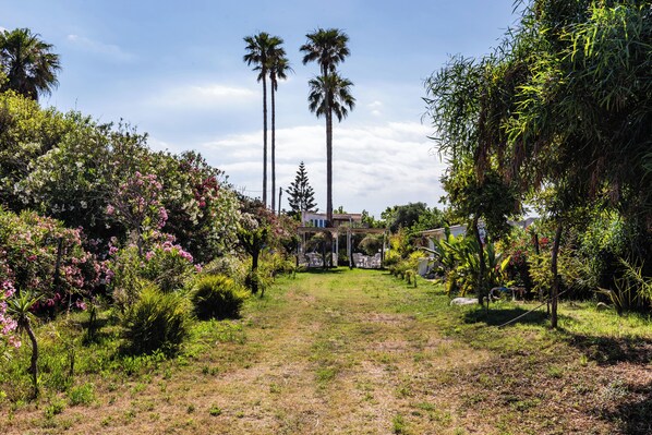 A garden with palm trees, flowering bushes, and a gazebo.