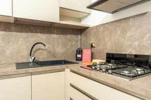 Standard Apartment, 2 Bedrooms (Apartment) | Private kitchen