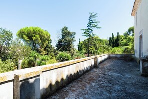 Detalle del exterior