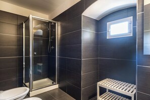 Shower, hair dryer, bidet, towels