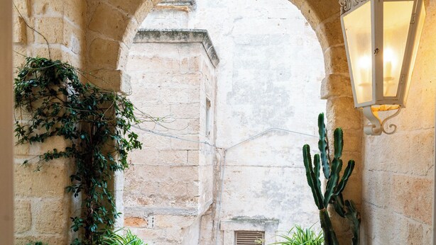 Un couloir voûté en pierre, orné d’un cactus et de lierre, avec un luminaire fixé au mur, et on aperçoit un bâtiment au-delà de l’arche.
