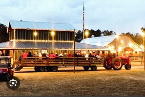 Exterior - Emma's Sunpine Cottage (Beulaville)