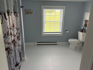 Hiustenkuivaaja, pyyhkeet, saippua, vessapaperi