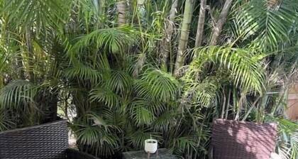 Relaxing Ft. Myers home